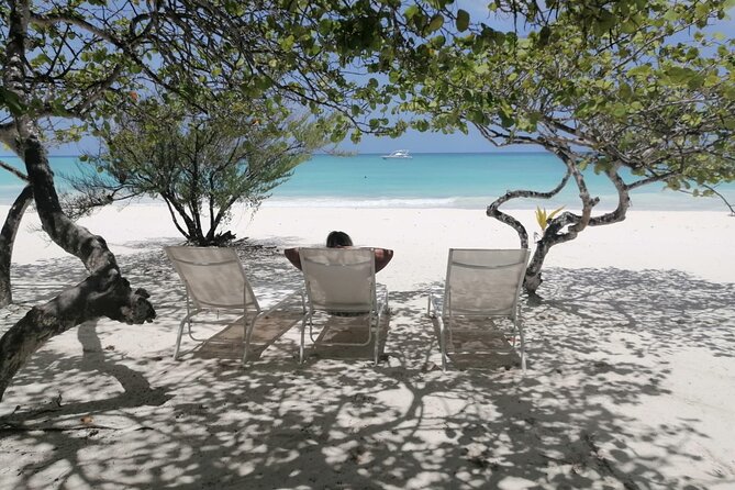 Saona island - Private Tour with a Luxury Speed Boat - Crew and Service: Joy, Captain Omar, and a Family-Feeling Day