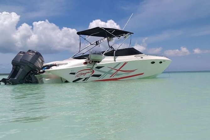 Saona island - Private Tour with a Luxury Speed Boat - Getting Started: 10:00 am Timing and Pickup from Bayahibe or Dominicus