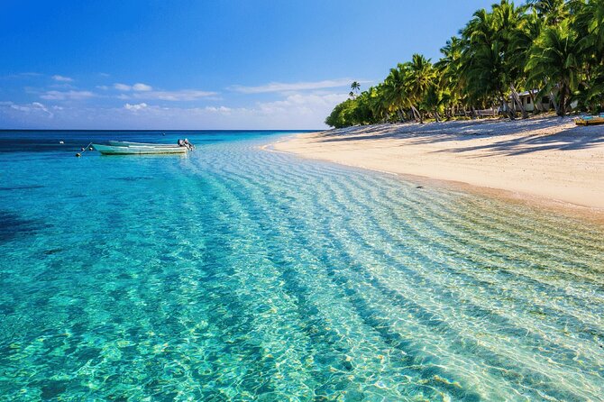 Saona Island : Punta Cana All Inclusive - Dominican Lunch Under Palm Trees and Time in Mano Juan