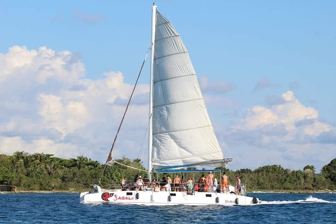 Saona Island Sailing Tour - All Inclusive - Price and value: is $89.99 a fair deal for Saona?