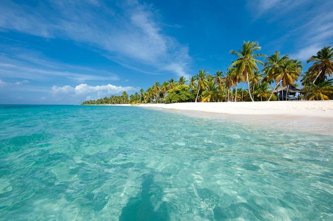 Saona Island Sailing Tour - All Inclusive - Saona Island: 3 hours to swim, relax, and see the famous shallows