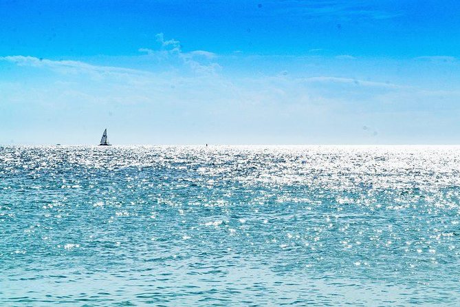 Saona Island Sailing Tour - All Inclusive - Lunch and open bar: included drinks, but manage your expectations