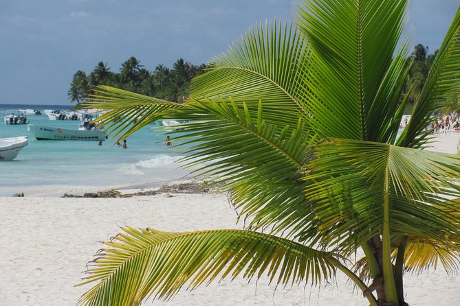 Saona Island small group and relax - luxury catamaran - What the Live Commentary Adds While You Cruise