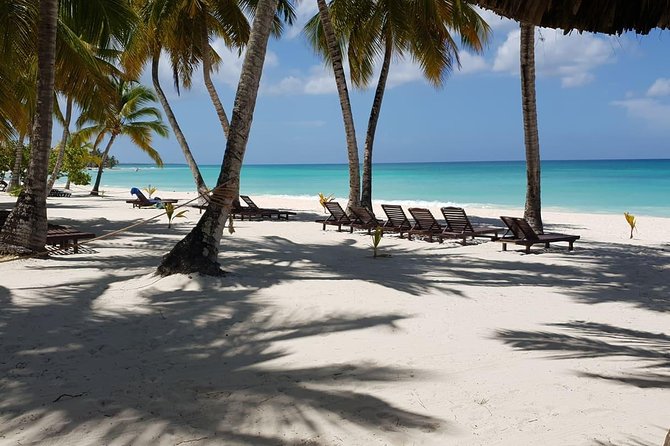 Saona Island small group and relax - luxury catamaran - How Each Stop Fits Together (Without Feeling Like a Whirlwind)
