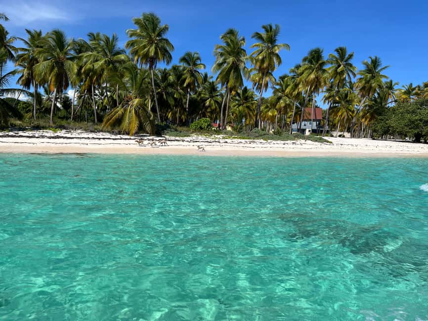 Saona Island: Small Group Virgin Beaches Cruise Day Trip - Mano Juan village: lunch with a side of local life