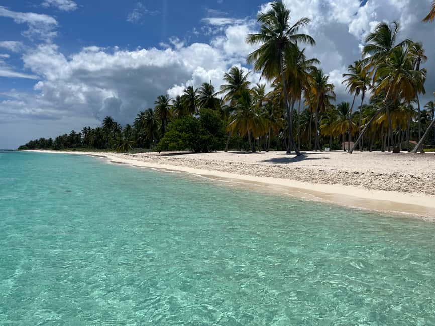Saona Island: Small Group Virgin Beaches Cruise Day Trip - Food, snacks, and drinks that keep the day easy