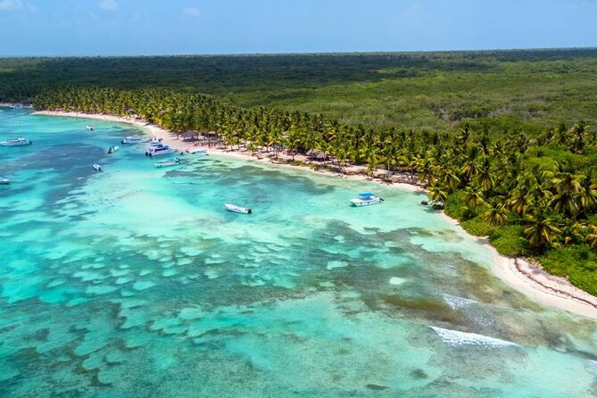 Saona Island Tour and Catamaran Party from Punta Cana - Food and Drinks: What’s Included and Why It’s a Good Deal