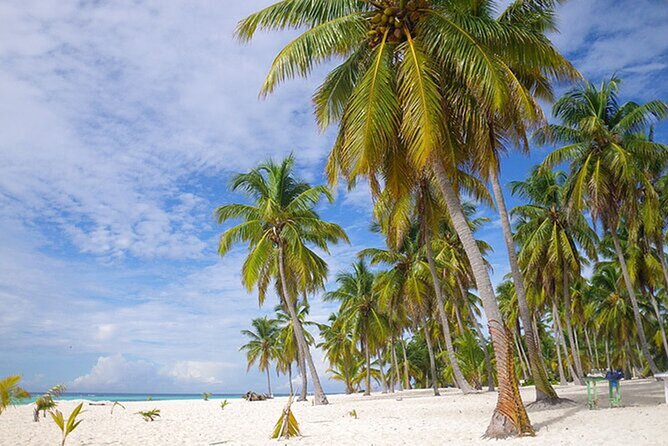Saona Island Tour and Catamaran Party from Punta Cana - Crowd Size, Transfer Time, and the Tradeoffs You Should Plan For