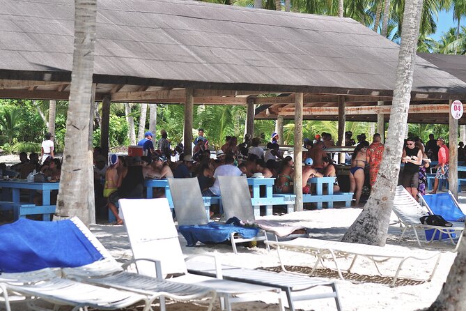 Saona Island Tour – Caribbean All Inclusive Escape - Lunch under the palms: the included Dominican meal angle
