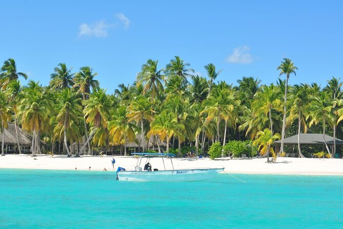 Saona Island Tour from Juan Dolio with pickup - Key highlights you should know before you go