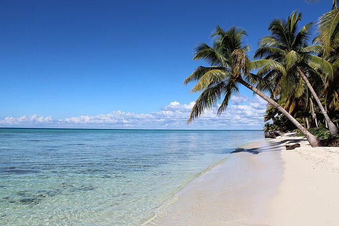 Saona Island Tour from Juan Dolio with pickup - The Natural Pool Stop: Knee-Deep Water and a Short Walk Along the Coral Terrace