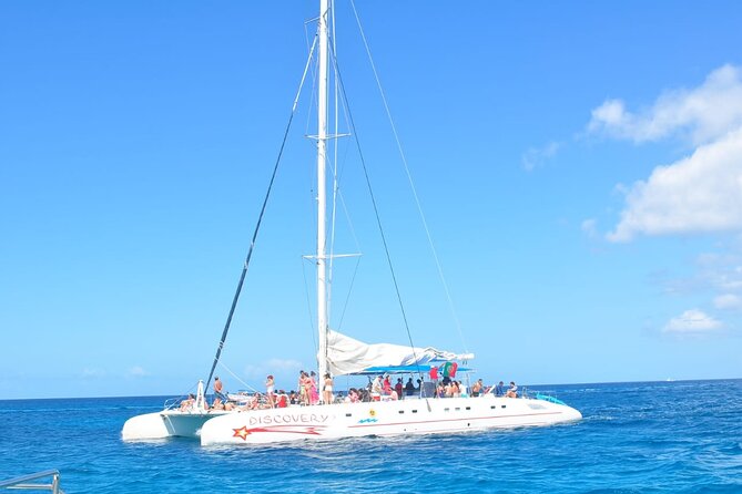 Saona Island Tour from Juan Dolio with pickup - Price and Value at $140: What You Are Paying For
