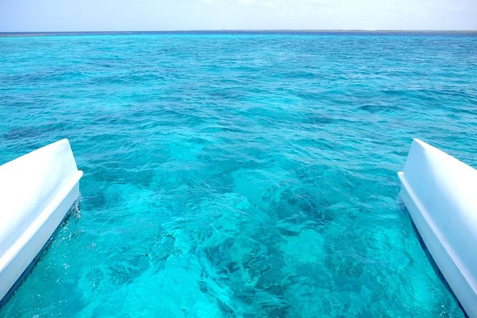Saona Island Tour From Punta Cana - Saona in the name, Catalina in the plan