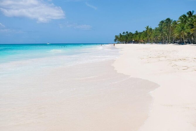 Saona Island Tour From Punta Cana - Buffet lunch on the beach, not a rushed “stop”