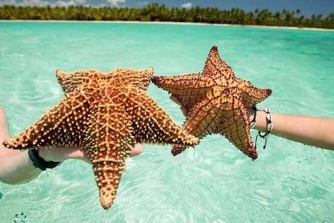 Saona Island Tour from Punta Cana All Inclusive - The ride plan: Punta Cana, La Romana, boats, and the real timing of an 8 to 10 hour day