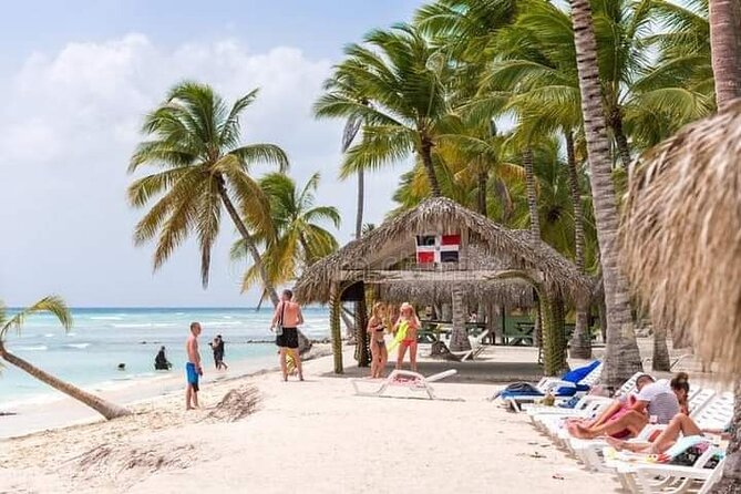 Saona Island Tour from Punta Cana All Inclusive - Natural Pool stop: starfish swimming and what to do with your time