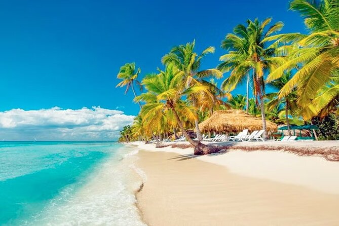 Saona Island Tour from Punta Cana with Lunch, Open Bar & Pickup - How the day actually feels: from Punta Cana pickup to Saona sand