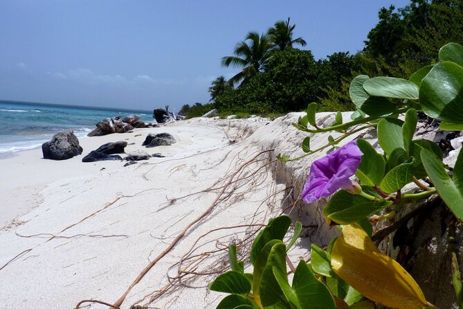 Saona Island Tour from Punta Cana with Lunch, Open Bar & Pickup - The catamaran ride back: music, dancing, and staying comfortable