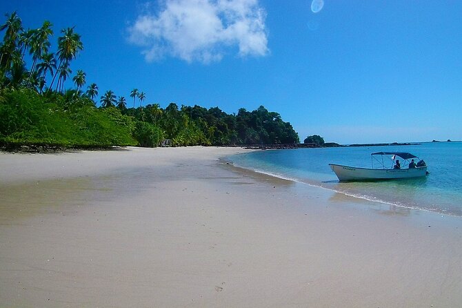 Saona Island Tour from Punta Cana with Lunch, Open Bar & Pickup - Price and value: is $68.55 a good deal for what you get?