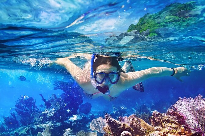 Saona Island Tour from Punta Cana with Lunch, Open Bar & Pickup - Group size and guide support: why up to 28 matters