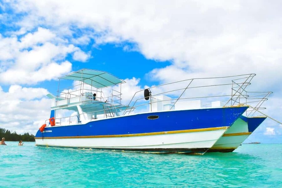 Saona Island Tour From Santo Domingo with Lunch and Pickup - Saona Island: Lunch, Snorkeling, Food Tasting, and Real Beach Time