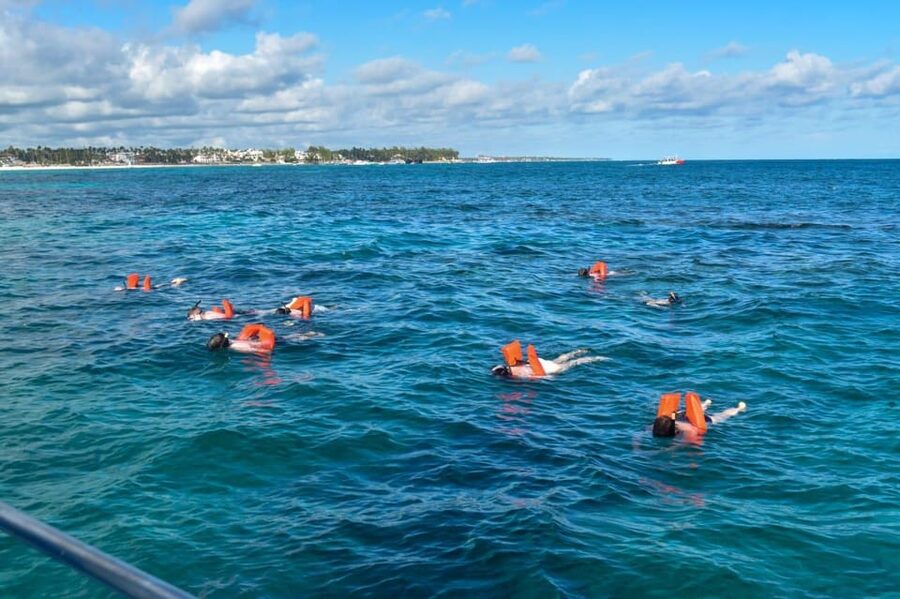 Saona Island Tour From Santo Domingo with Lunch and Pickup - The Catamaran Return: Animators, Party Energy, and 1.5 Hours of Floating Back