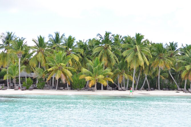 Saona Island Tour in Punta Cana - Price and value: what $95 buys you for a full-day Saona run