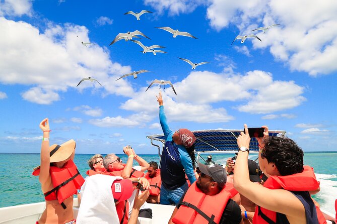 Saona Island Tour with Altos de Chavón from Punta Cana - Catamaran Party on the Caribbean Sea: Fun Music, Watch the Space