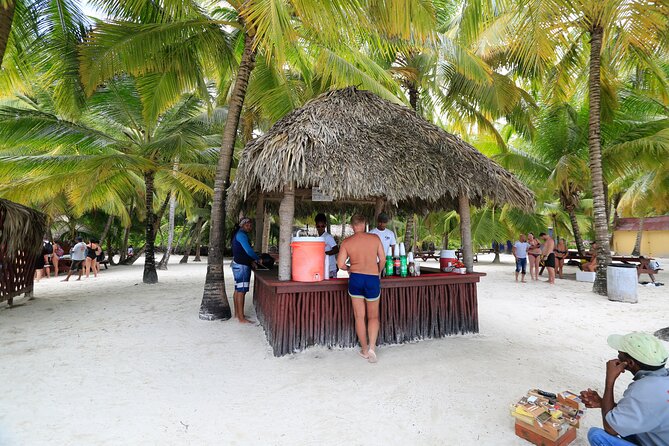 Saona Island Tour with Altos de Chavón from Punta Cana - Transportation and Guide Quality: The Part That Can Make or Break Your Day