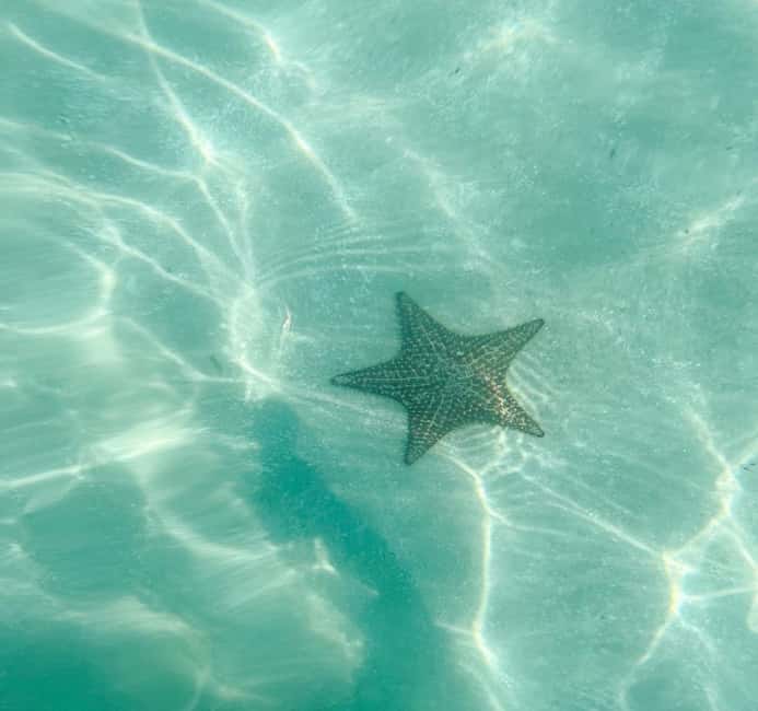 Saona Island VIP: 4 Beaches , Mano Juan & Canto de la Playa - A VIP Saona Island day from La Romana that feels like a beach circuit