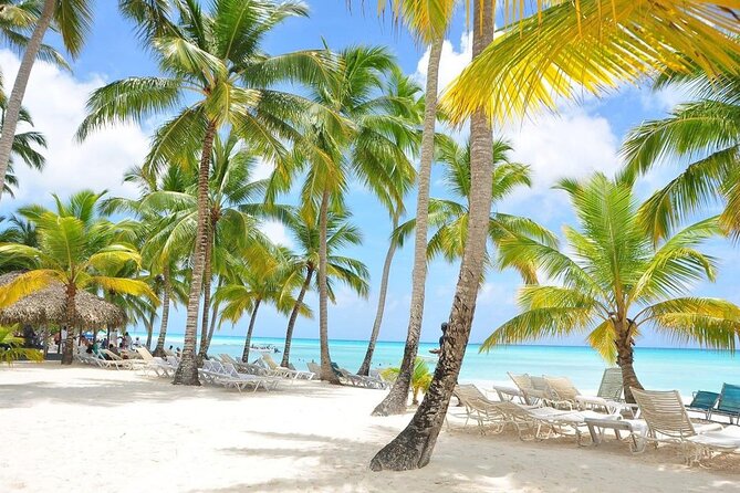 Saona Island VIP Experience – Private Boat for Up to 20 People - Punta Cana pickup and a 7:00 am start, how to plan your day