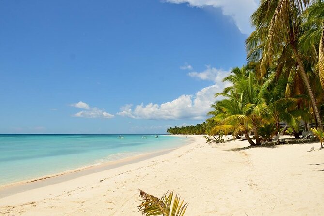 Saona Island VIP Experience – Private Boat for Up to 20 People - Who this Saona VIP private boat trip suits best