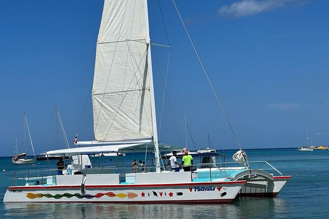 Saona Island VIP Experience – Private Boat for Up to 20 People - The Saona Island stop, beach time plus natural pool