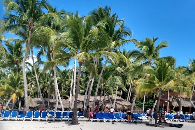 Saona Island: White Sands & Turquoise Waters” - Snorkeling and marine life: when the water turns educational