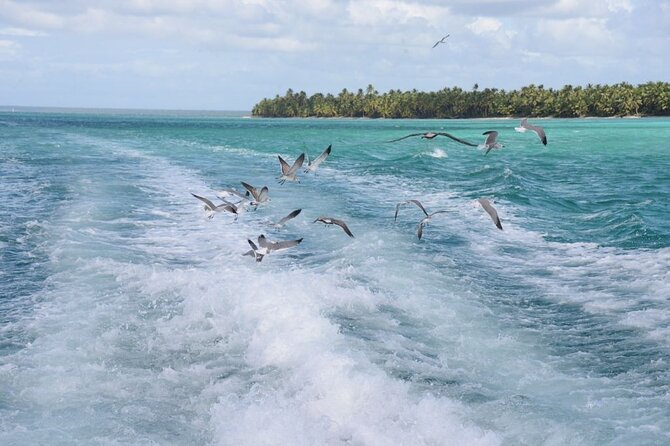 Saona, Mano Juan, Canto de la playa away from the tourist crowds - Small-group feel and guide support, especially with Cristian