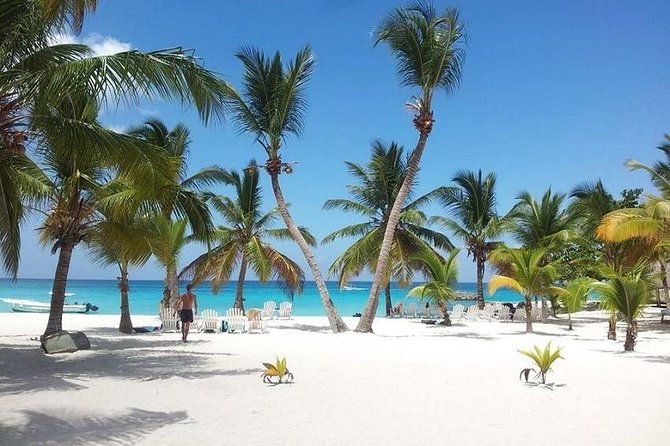 Saona Platinum Beach Day - The Catamaran Cruise to Saona: Where the Day Actually Feels Like a Trip