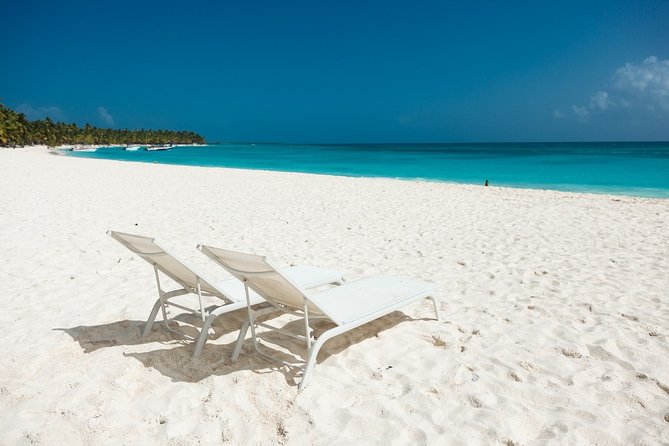 Saona Private Full-Day Tour from Punta Cana - Key things you will care about