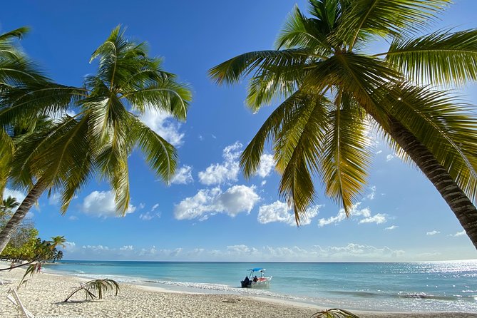 Saona Private Full-Day Tour from Punta Cana - Bayahibe port and the quick Caribbean crossing