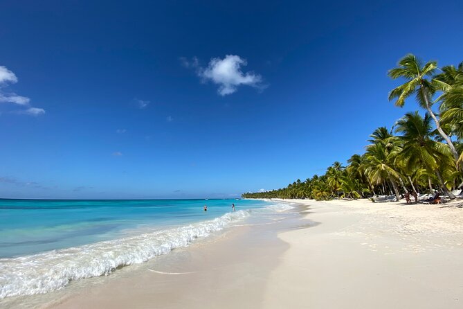 Saona Private Full-Day Tour from Punta Cana - Lunch, select open bar, and the rhythm of an island day