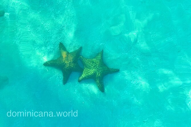 Saona Private Tour with Own Guide and Transport from Punta Cana - Bayahibe Stop: Quick Port Time Before the Main Events