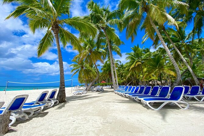 Saona Private Tour with Own Guide and Transport from Punta Cana - Saona Island for 5-6 Hours: Beach Time That Actually Lets You Breathe