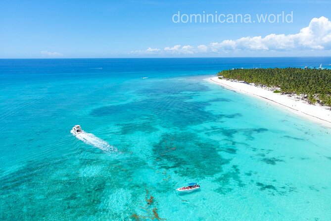Saona Private Tour with Own Guide and Transport from Punta Cana - Piscina Natural Saona and Starfish: The Guaranteed-Hands Moment