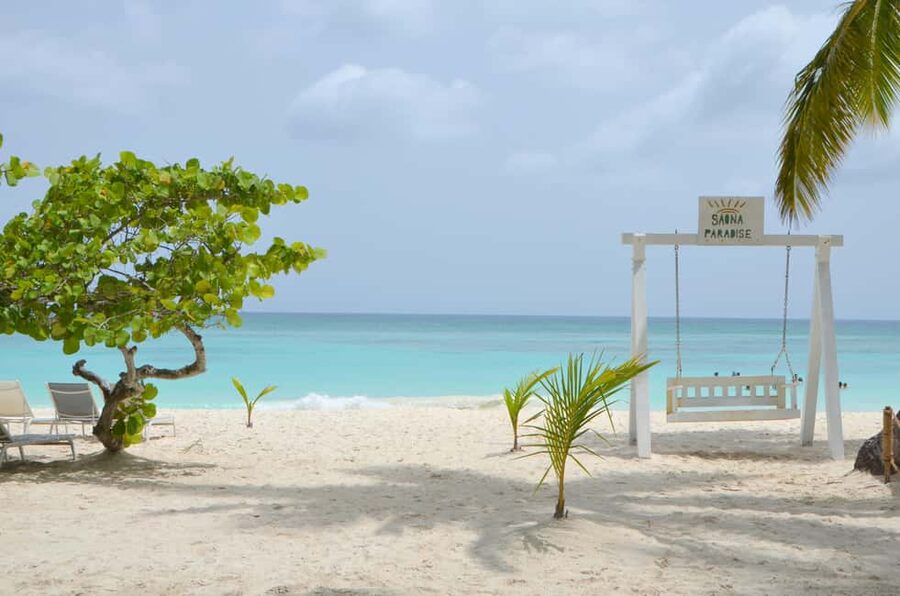 Saona Special Tour: 4 Beaches with Canto from Punta Cana - Key points to know before you go