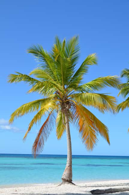 Saona Special Tour: Four Beaches & Canto Experience - Mano Juan fishermen village: your one chance to slow down