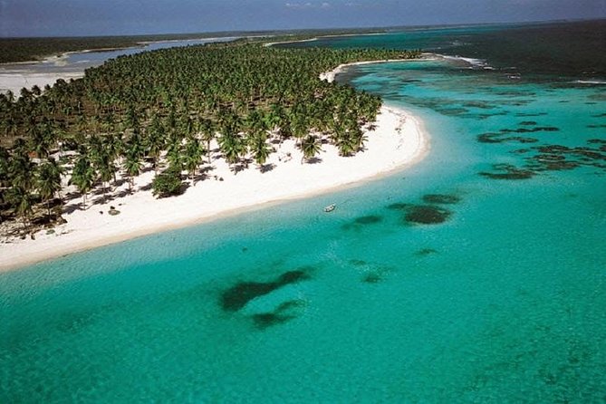 Saona Vip speedboat - What the VIP Saona day feels like (and why Playa Toro is the big lure)