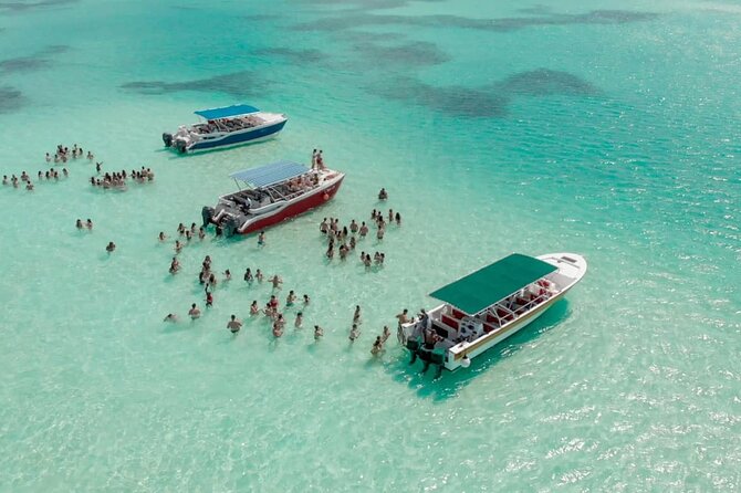 Saône Island from Punta Cana Catamaran, Natural Pool and Lunch - Key Highlights That Make This Saona Trip Worth Considering