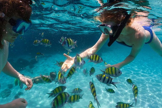 Scape Park Sunshine Cruise at Cap Cana - Arriving at Cap Cana: The Easy, Scenic Start