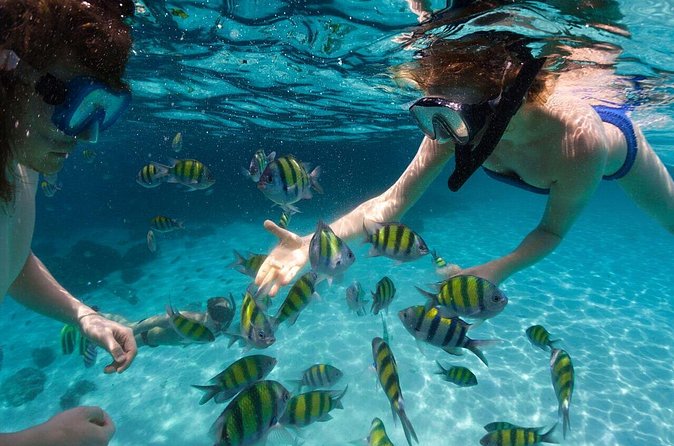 Scape Park Sunshine Cruise at Cap Cana - Boarding a Double-Deck Catamaran and Finding Your Vibe