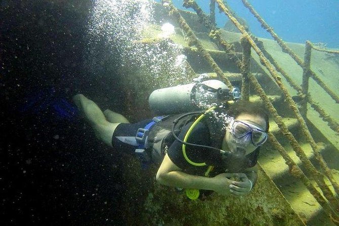 Scuba Diving at Catalina Island - 2 tank | 2 spots - Key highlights to know before you go