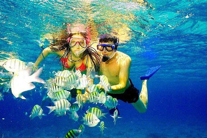 Scuba Diving at Catalina Island - 2 tank | 2 spots - Catalina Island starts early in Punta Cana, and pickup can be the puzzle